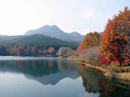 2005.11.27 2009.04.29