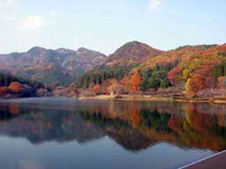 2005.11.27　宇都宮市森林公園