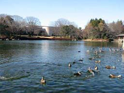 2007.02.04　栃木県中央公園
