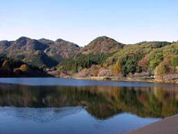 2007.11.23　宇都宮市森林公園