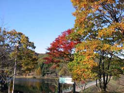 2007.11.23　宇都宮市森林公園