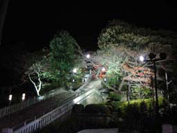 2007.11.30