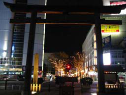 2007.11.30