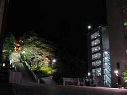 2007.11.30