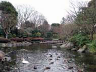 2009.02.11　栃木県中央公園