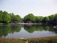 2007.05.02　栃木県中央公園