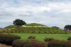 2009.06.06