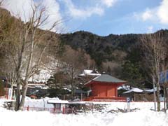 2011.01.04 日光中禅寺 立木観音