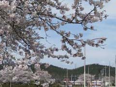 2012.04.15 東武日光線の電車が走る